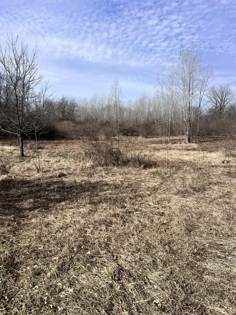 8453 S Durand Road Durand, MI 48429