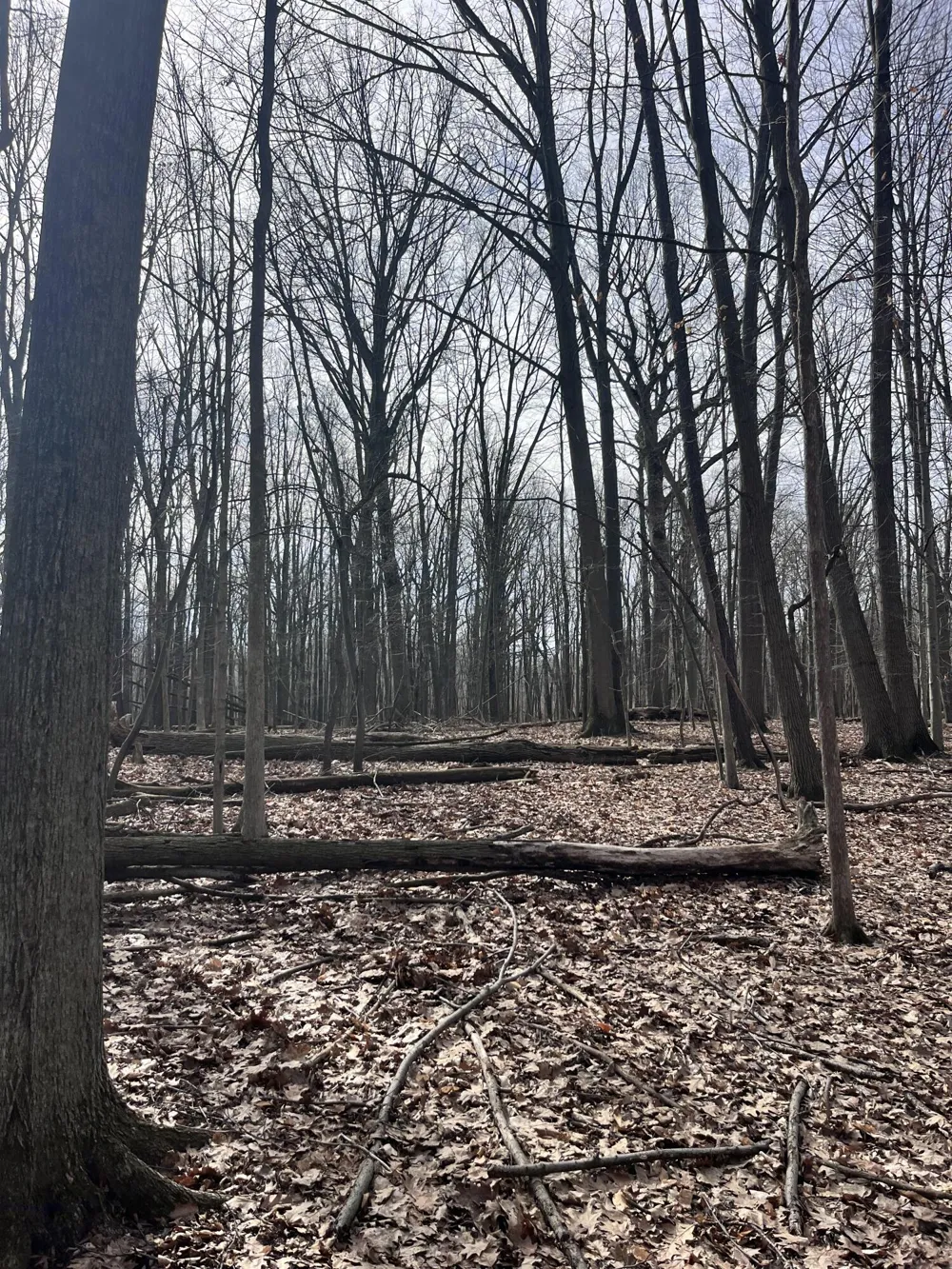 8453 S Durand Road Durand, MI 48429