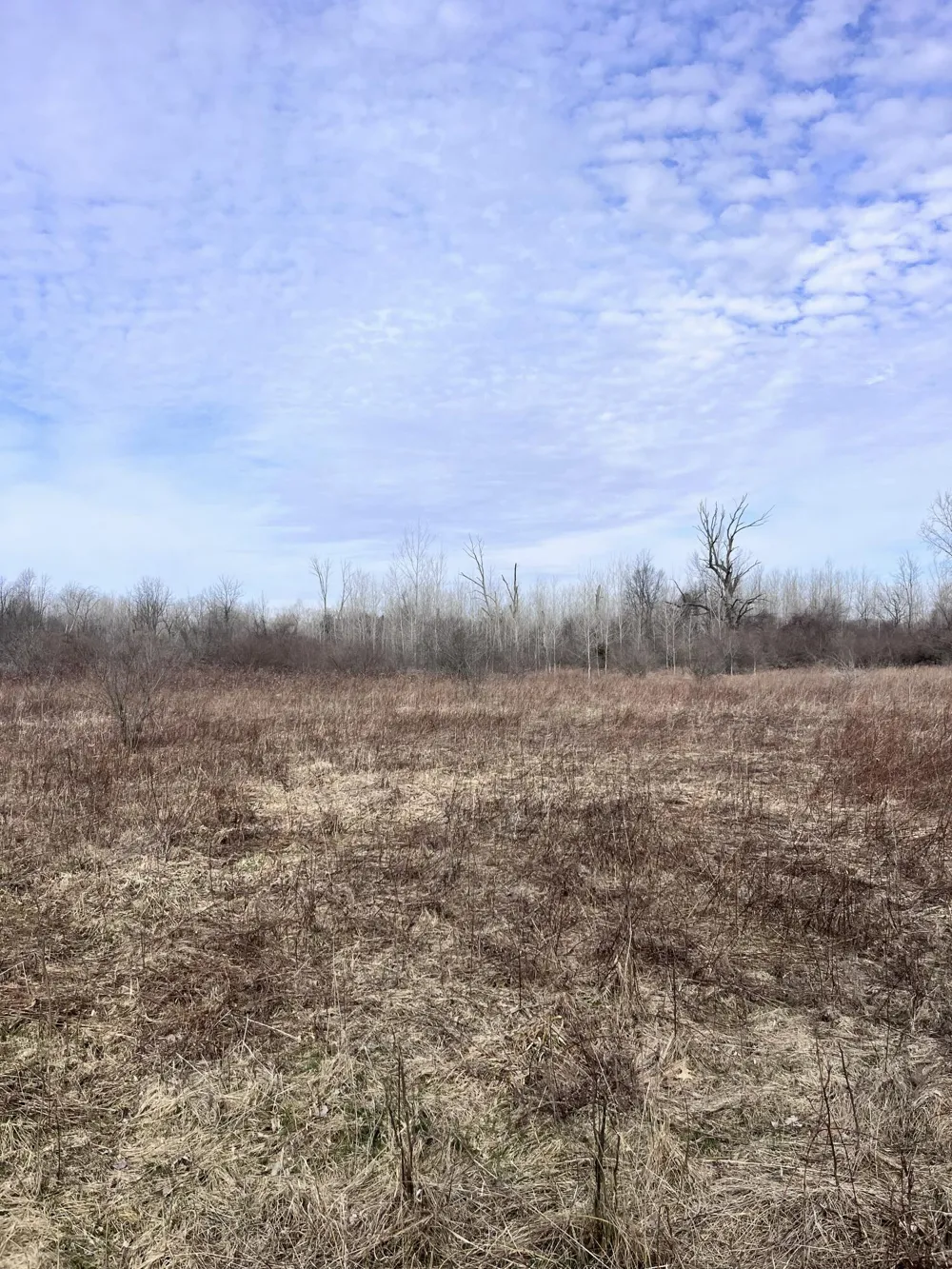 8453 S Durand Road Durand, MI 48429