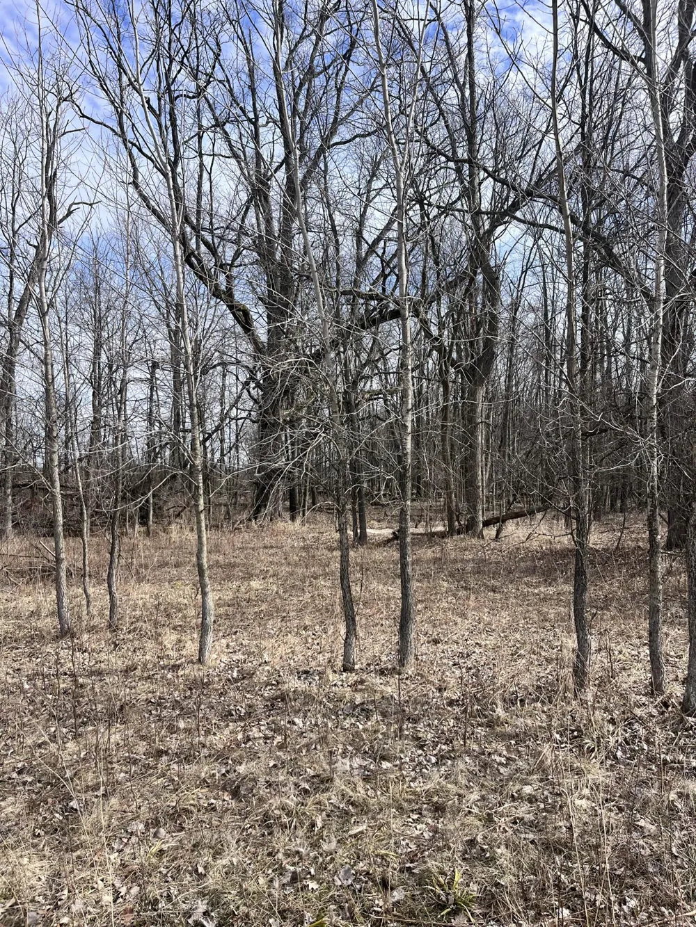 8453 S Durand Road Durand, MI 48429