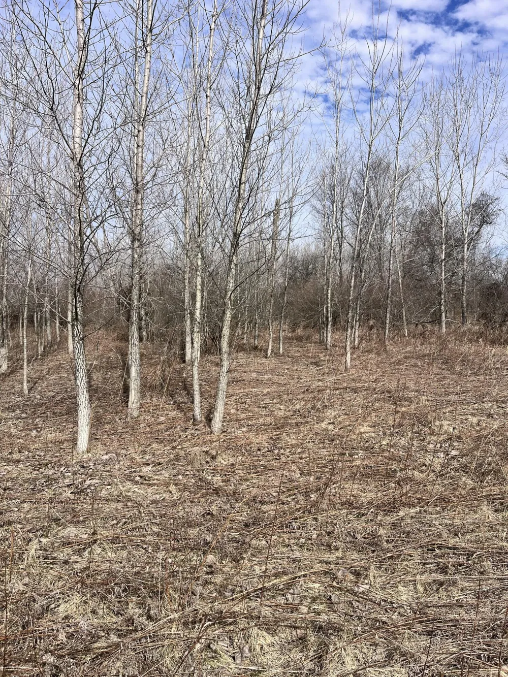 8453 S Durand Road Durand, MI 48429
