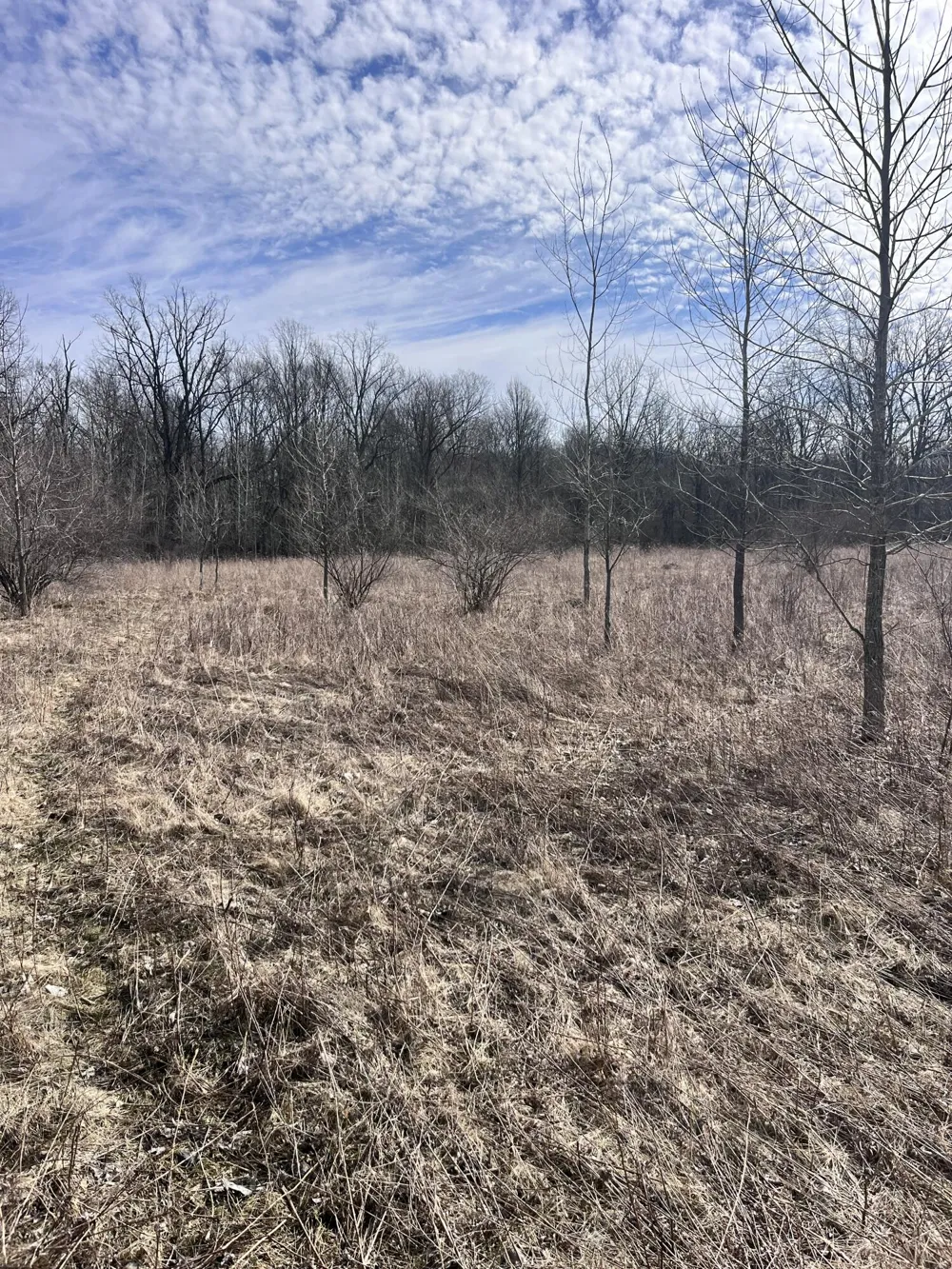 8453 S Durand Road Durand, MI 48429