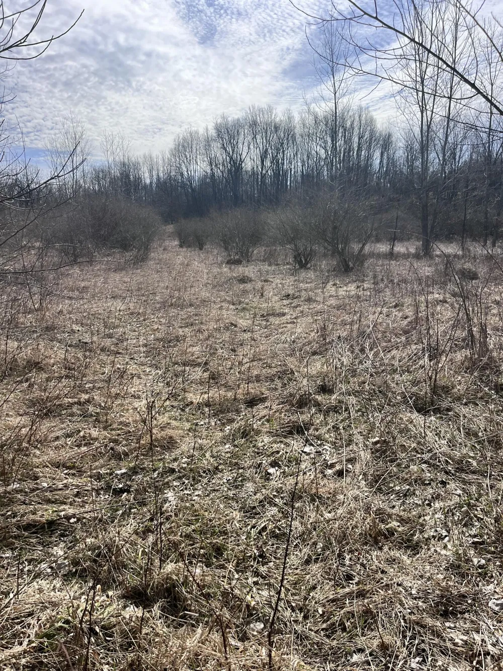 8453 S Durand Road Durand, MI 48429