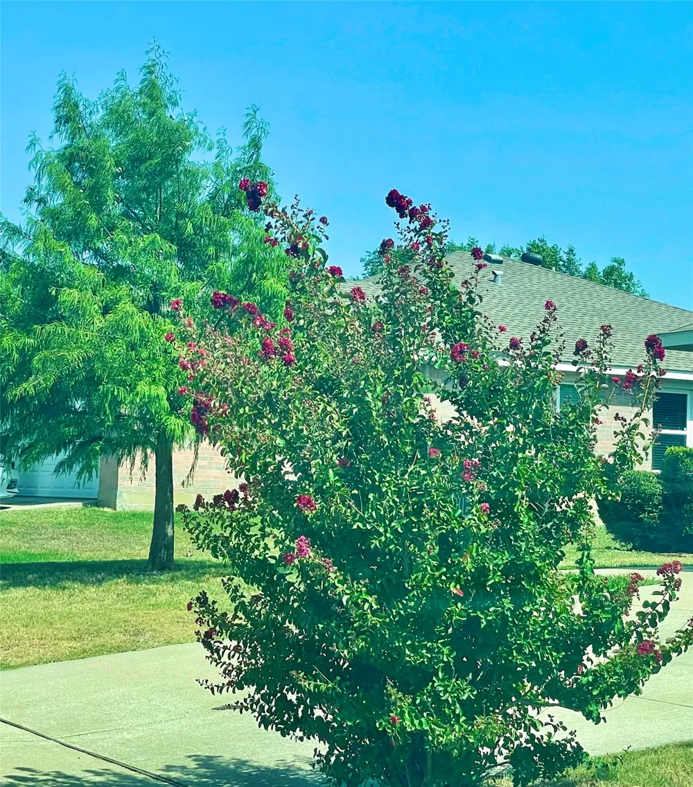 1308 Wenatchee Drive Krum, TX 76249