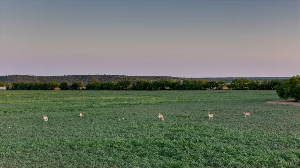 2367 County Road 311 Gouldbusk, TX 76845