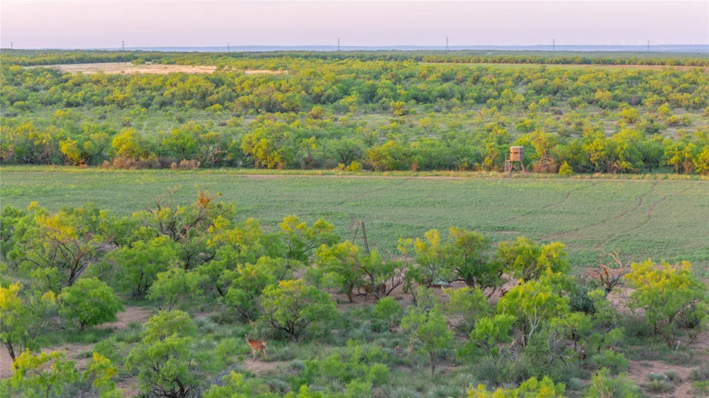 2367 County Road 311 Gouldbusk, TX 76845