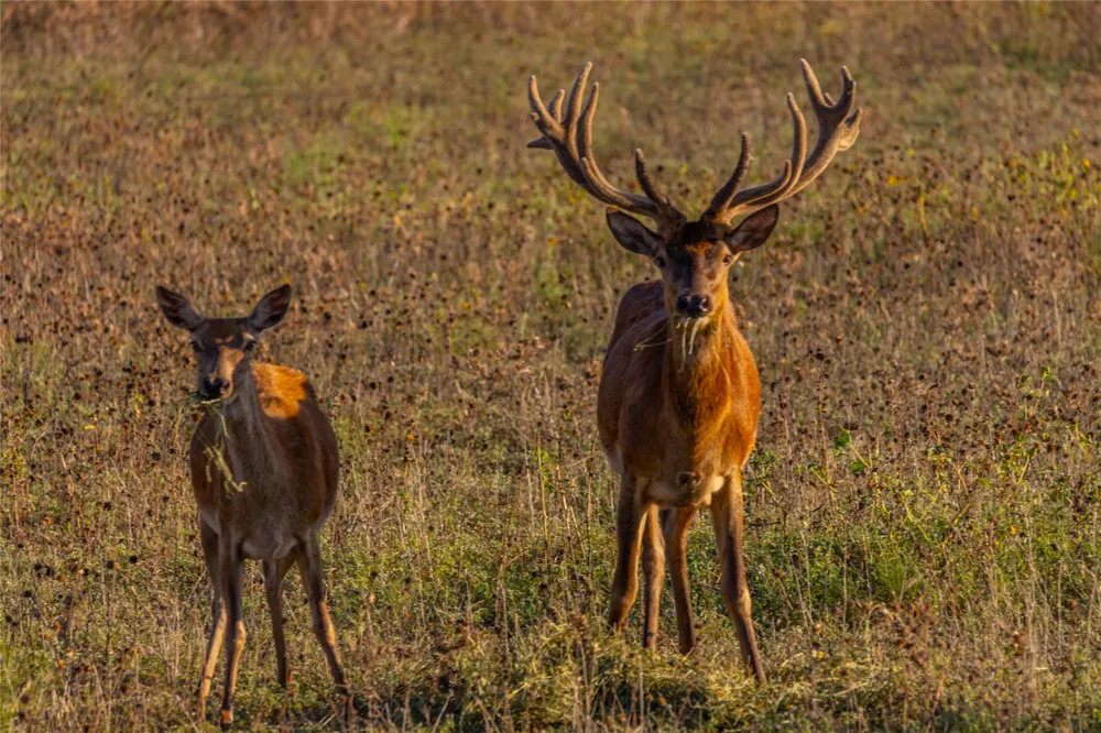 2367 County Road 311 Gouldbusk, TX 76845
