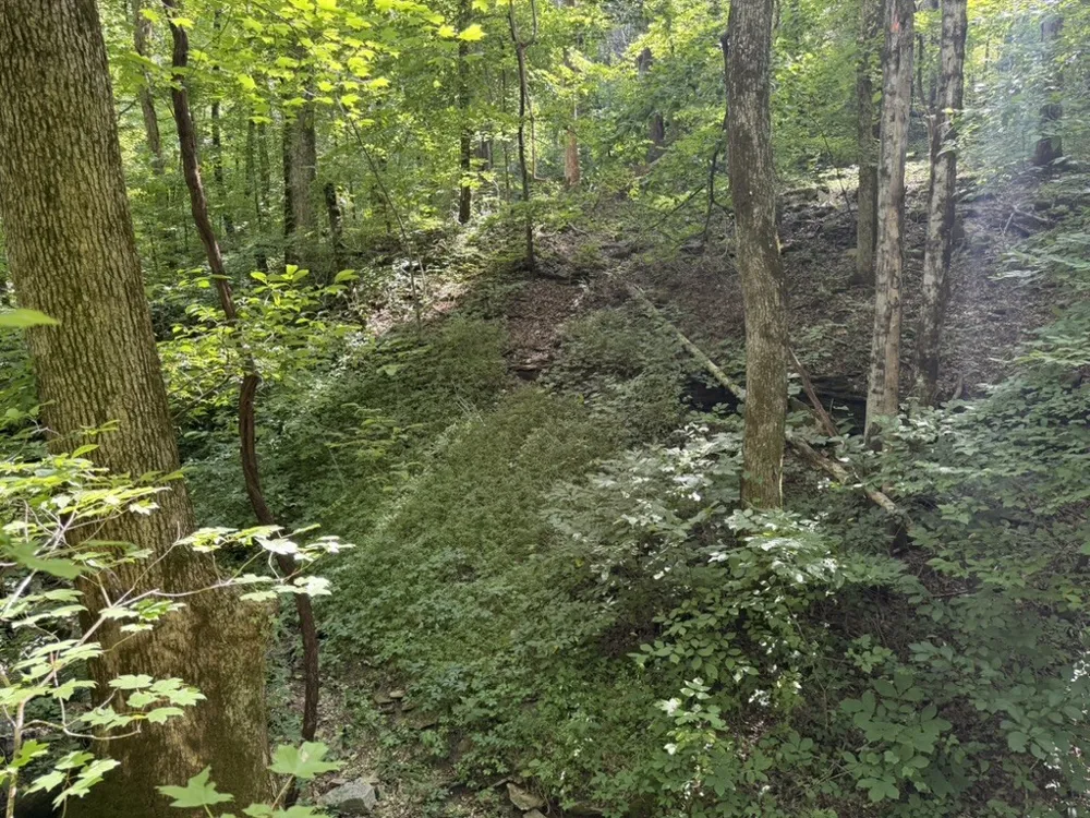 0 Roy Thompson Mount Pleasant, TN 38474