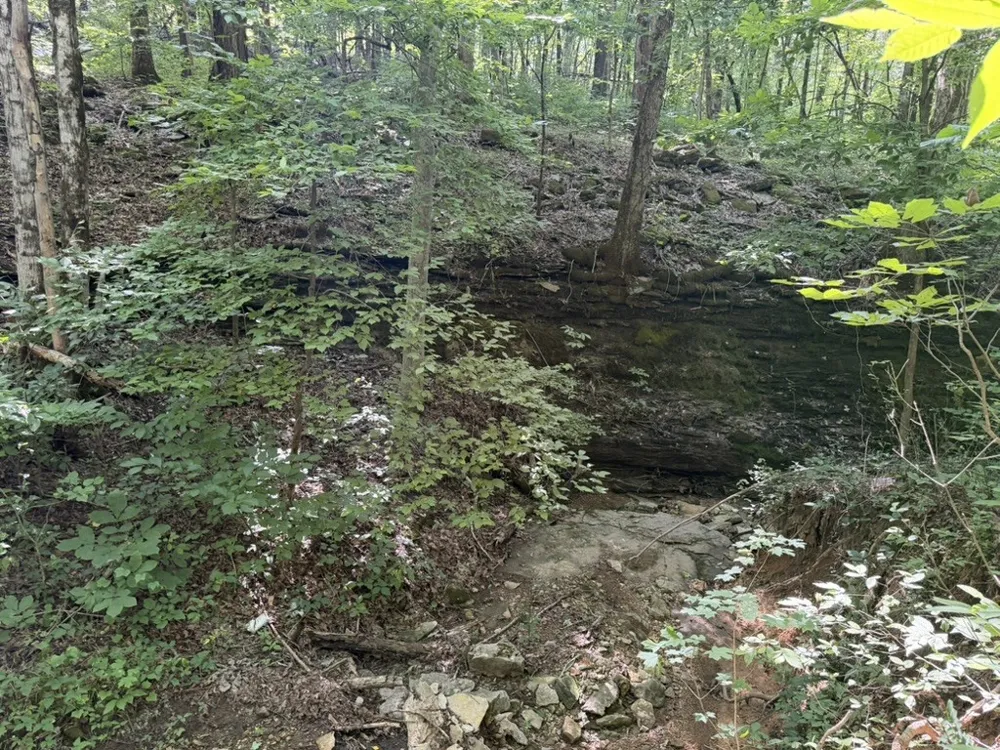 0 Roy Thompson Mount Pleasant, TN 38474