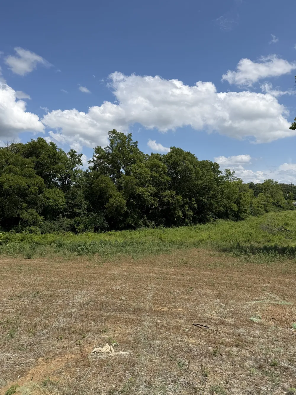 1136 Old Creek Bend Gallatin, TN 37066