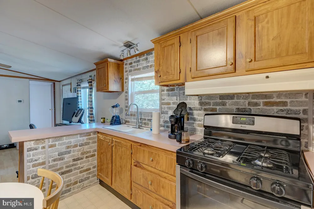 24119 CELTIC STREET Georgetown, DE 19947