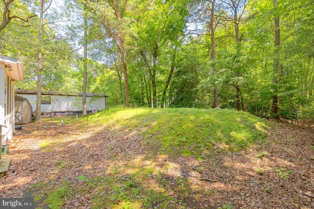 24119 CELTIC STREET Georgetown, DE 19947