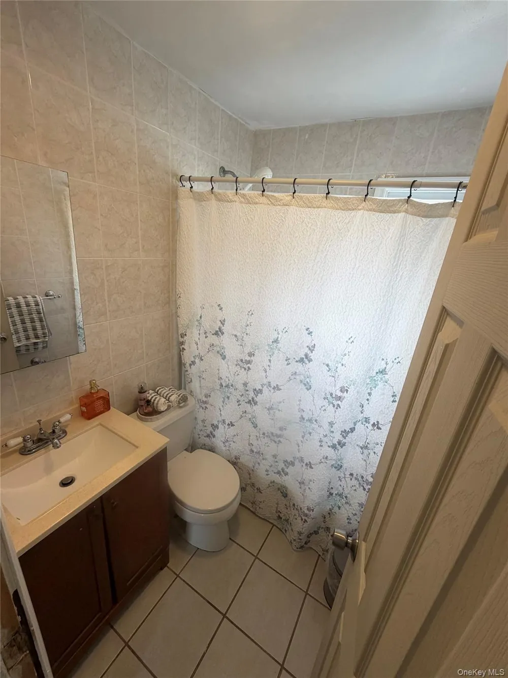 1556 Adams Street Elmont, NY 11003