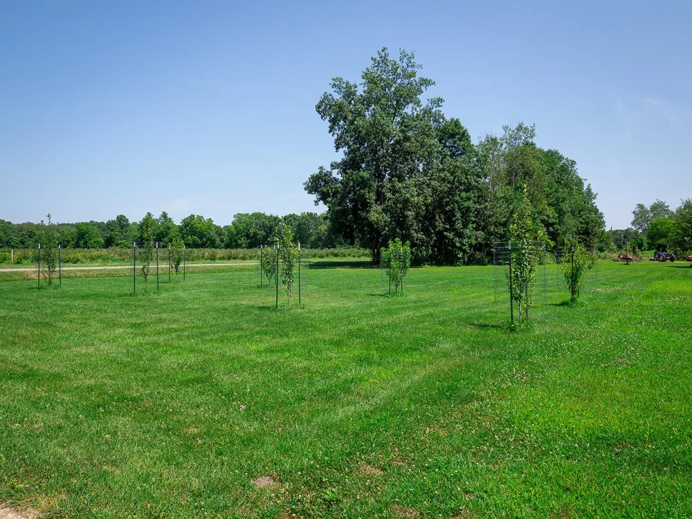 35159 40th Avenue Paw Paw, MI 49079