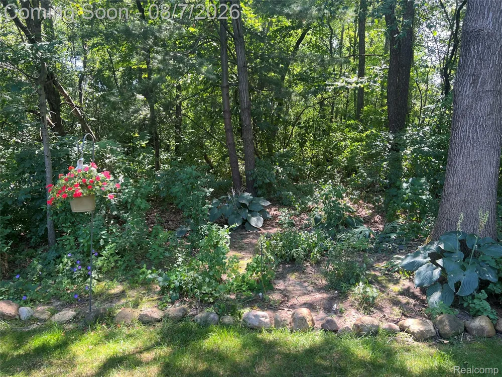 3383 Baldwin Woods Drive Orion Charter Township, MI 48359