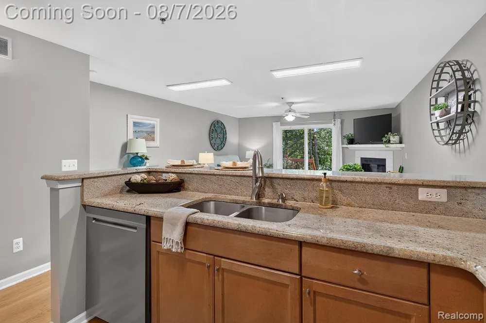 3383 Baldwin Woods Drive Orion Charter Township, MI 48359