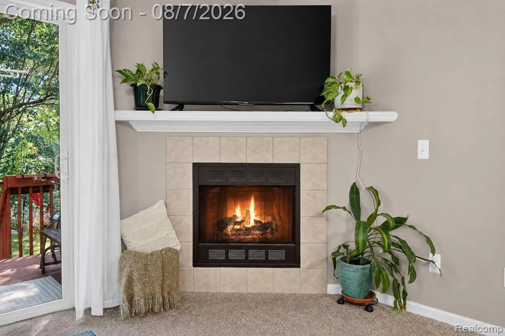 3383 Baldwin Woods Drive Orion Charter Township, MI 48359