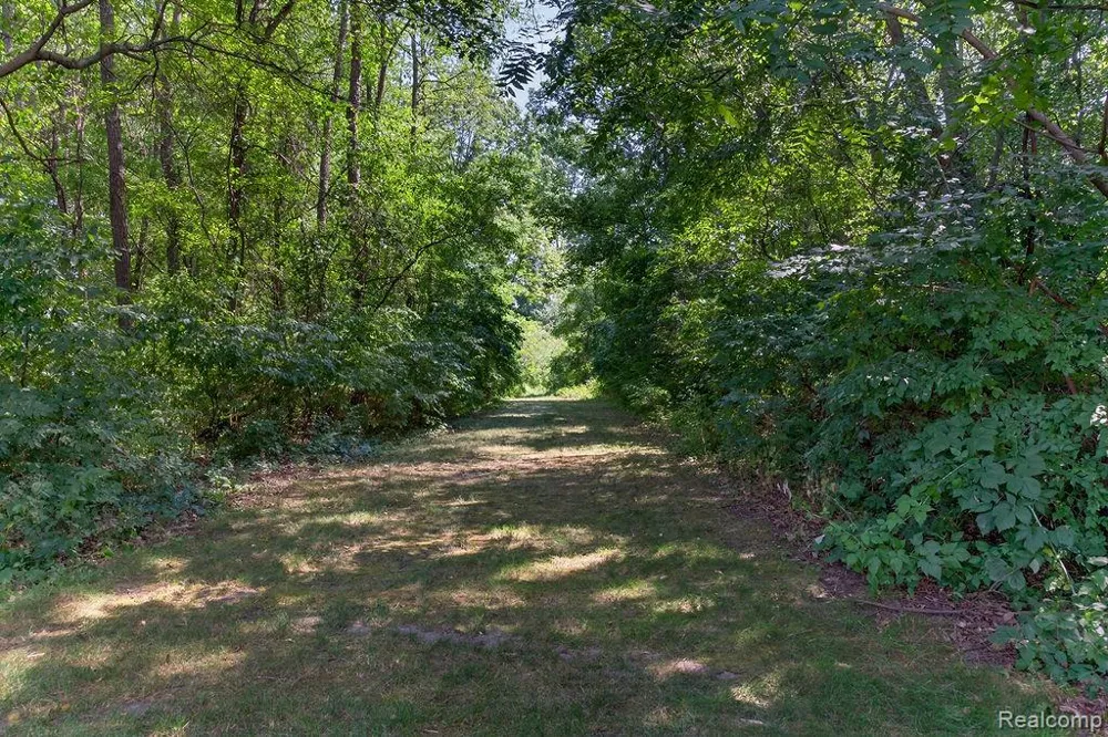 3383 Baldwin Woods Drive Orion Charter Township, MI 48359