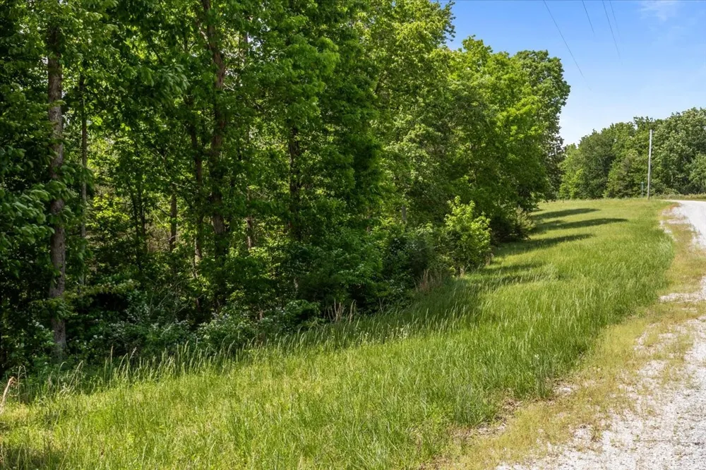 0 Western Road Waverly, TN 37185