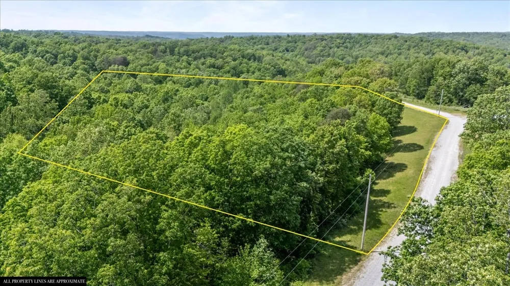 0 Western Road Waverly, TN 37185