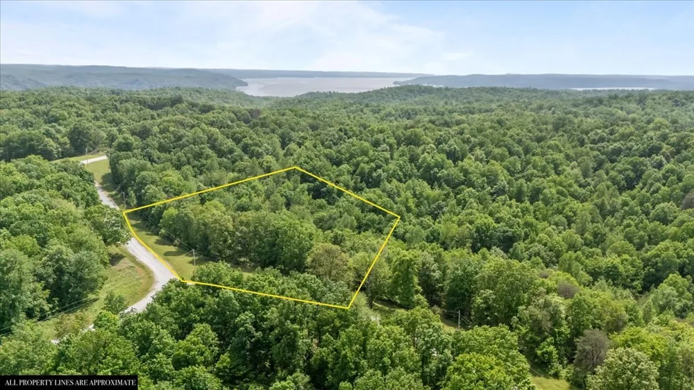 0 Western Road Waverly, TN 37185