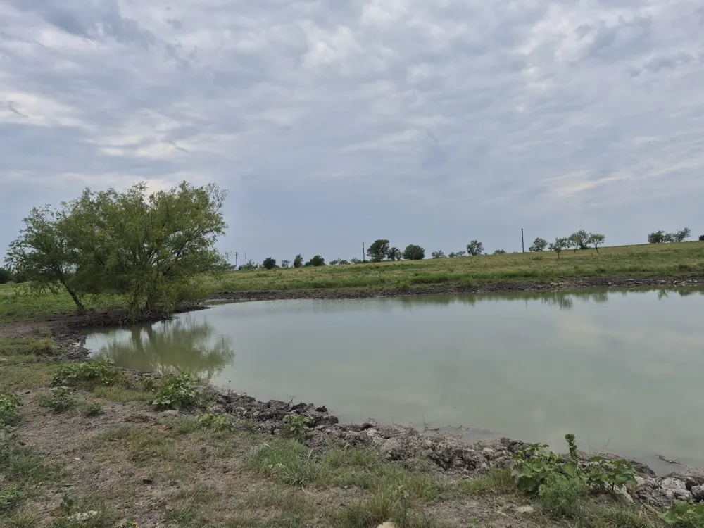 Pr 4311 Jonesboro, TX 76538
