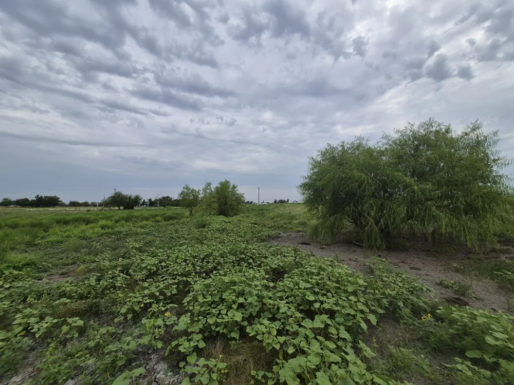 Pr 4311 Jonesboro, TX 76538