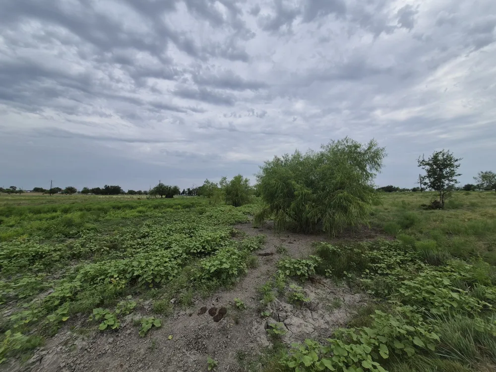 Pr 4311 Jonesboro, TX 76538