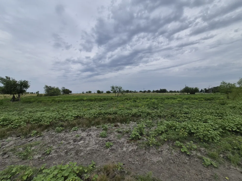 Pr 4311 Jonesboro, TX 76538