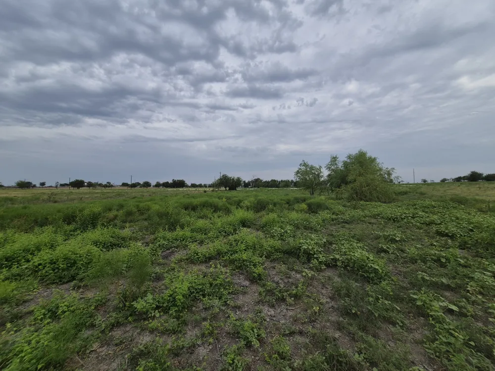 Pr 4311 Jonesboro, TX 76538