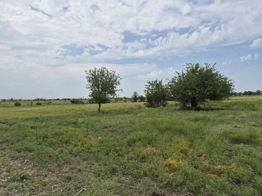 Pr 4311 Jonesboro, TX 76538