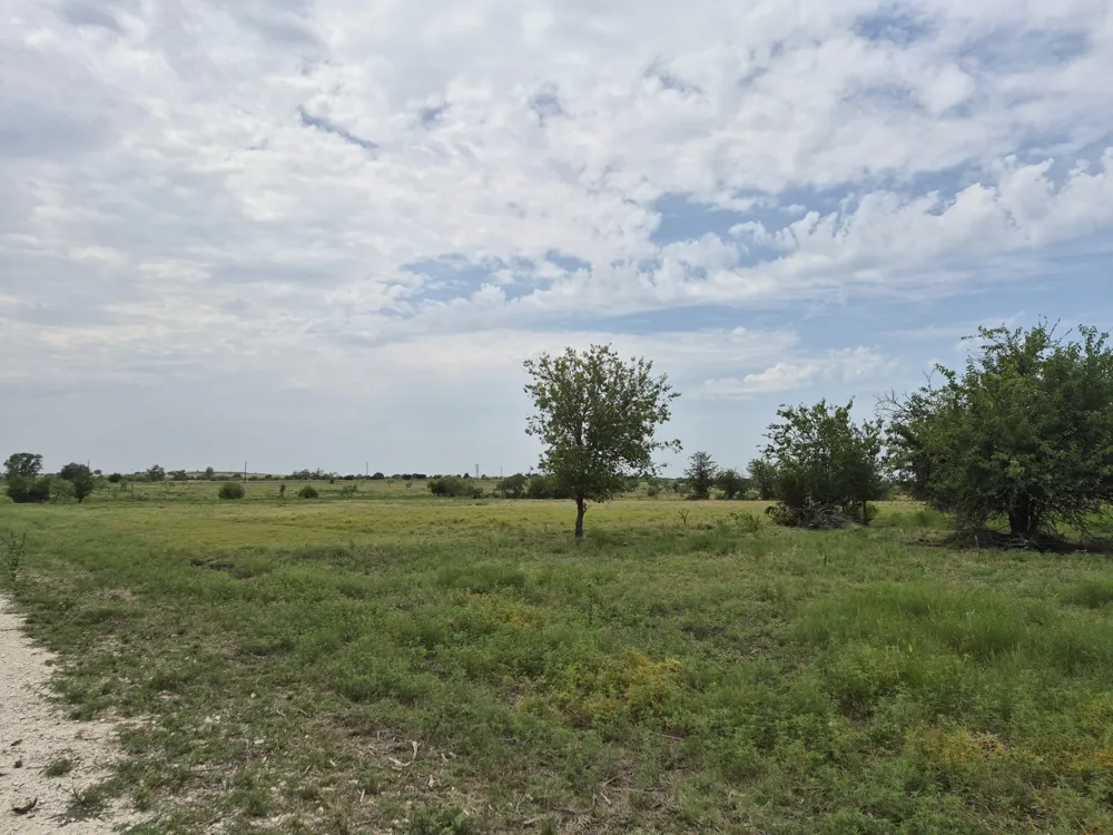 Pr 4311 Jonesboro, TX 76538