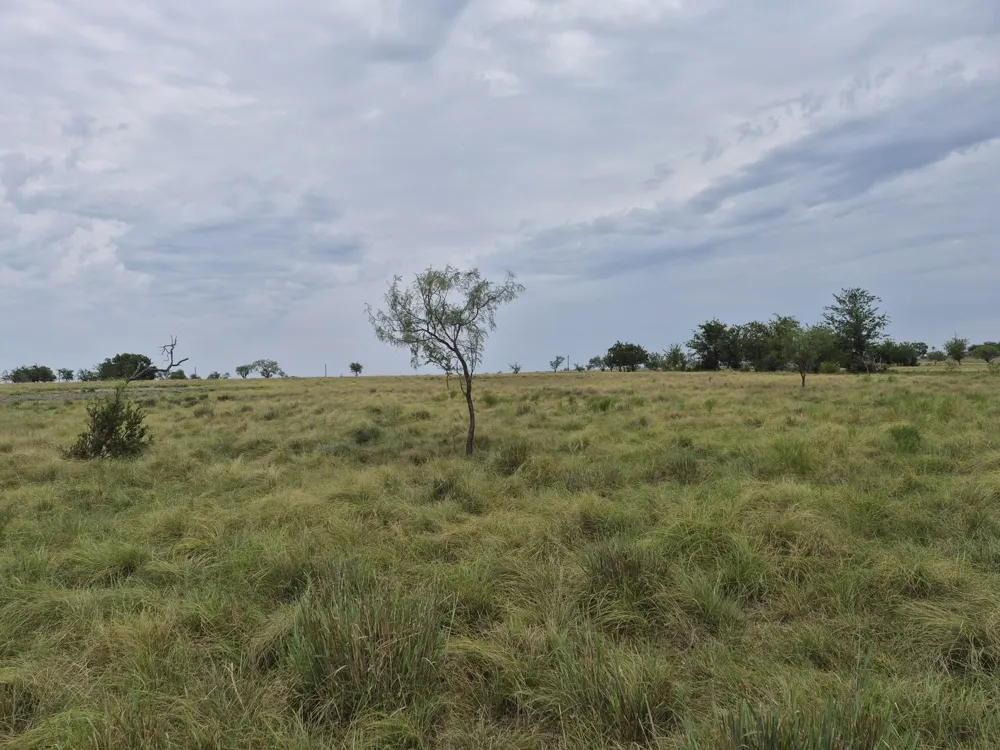Pr 4311 Jonesboro, TX 76538