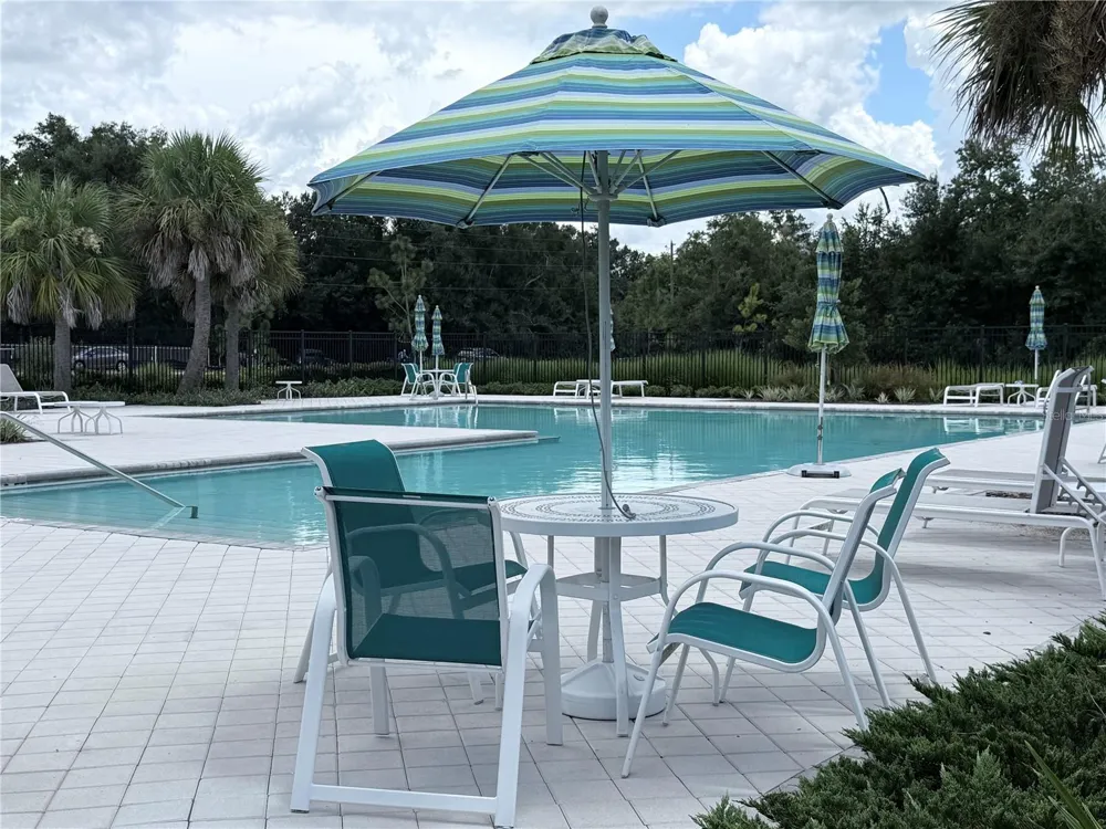 23330 PAPYRUS WAY Lutz, FL 33559