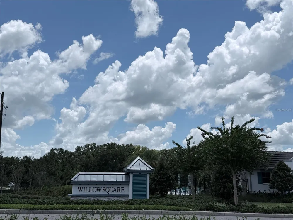 23330 PAPYRUS WAY Lutz, FL 33559