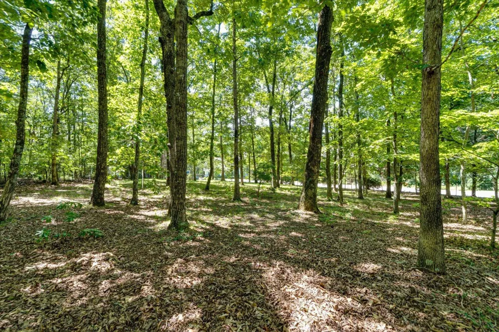2910 Blue Teal Lane Signal Mountain, TN 37377