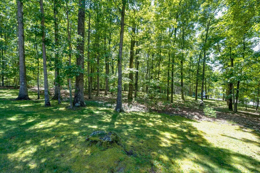 2910 Blue Teal Lane Signal Mountain, TN 37377