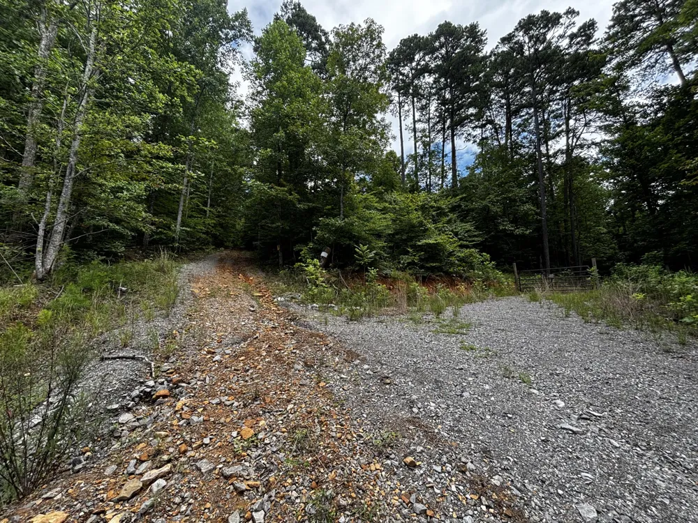 Orme Mountain Road South Pittsburg, TN 37380