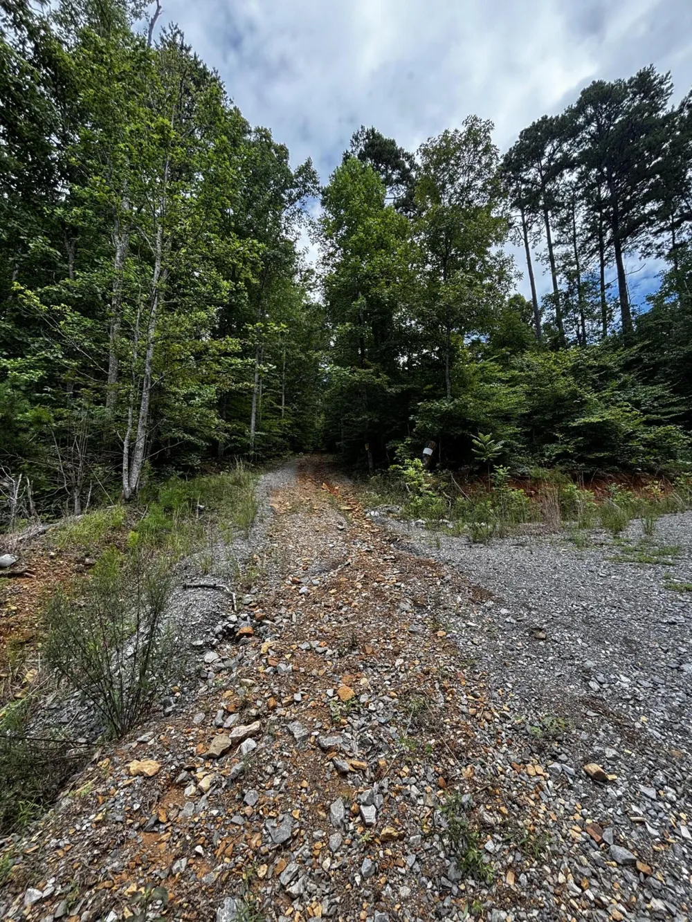 Orme Mountain Road South Pittsburg, TN 37380