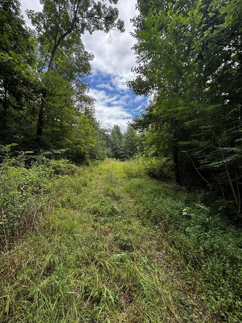 Orme Mountain Road South Pittsburg, TN 37380