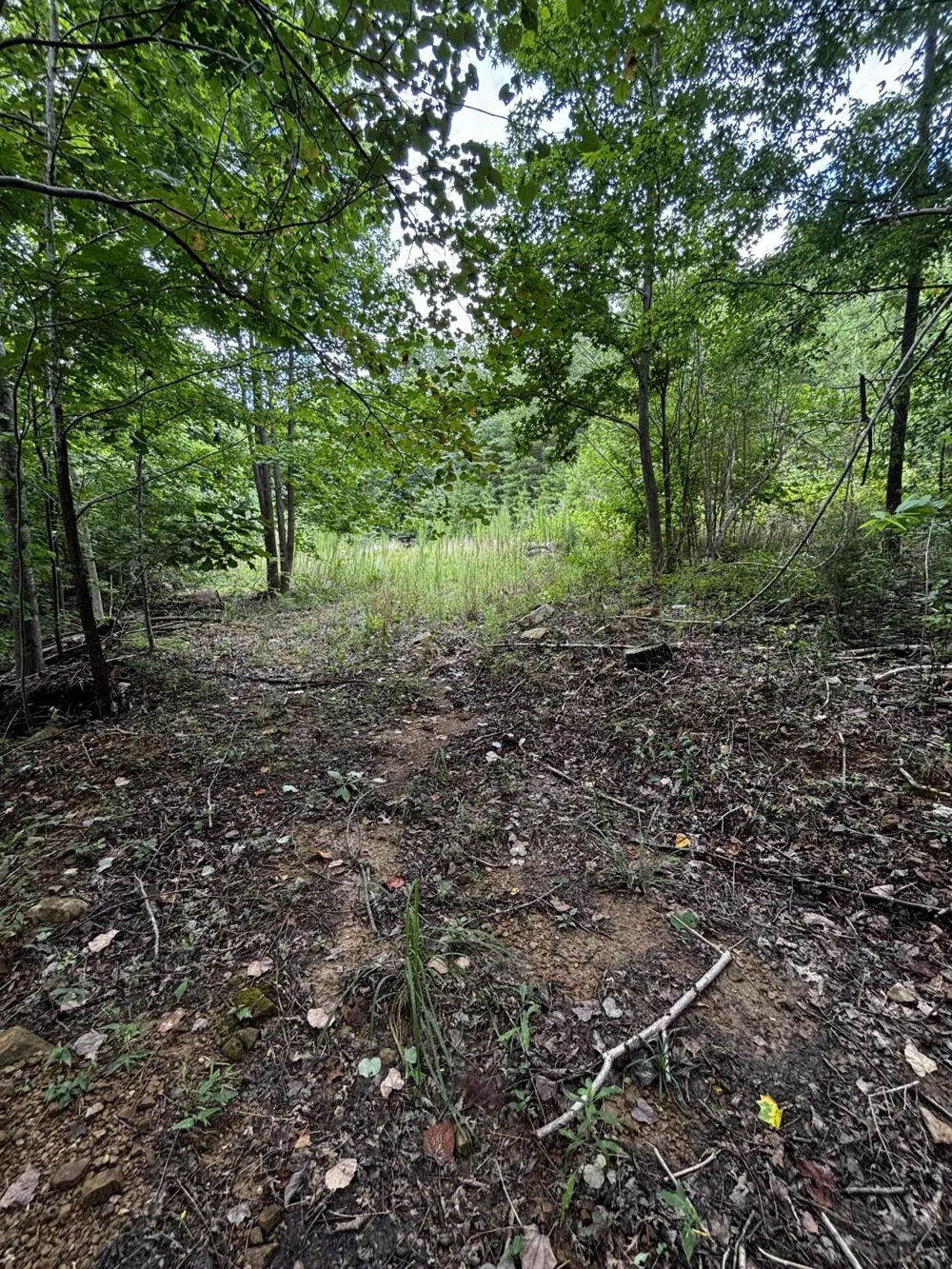 Orme Mountain Road South Pittsburg, TN 37380