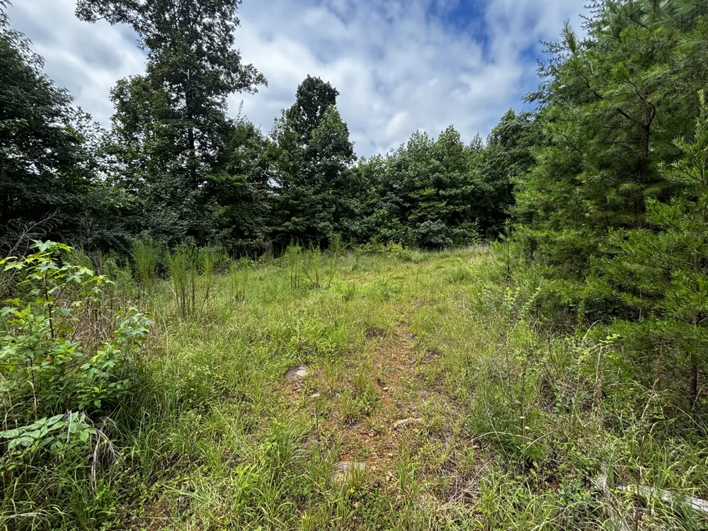 Orme Mountain Road South Pittsburg, TN 37380