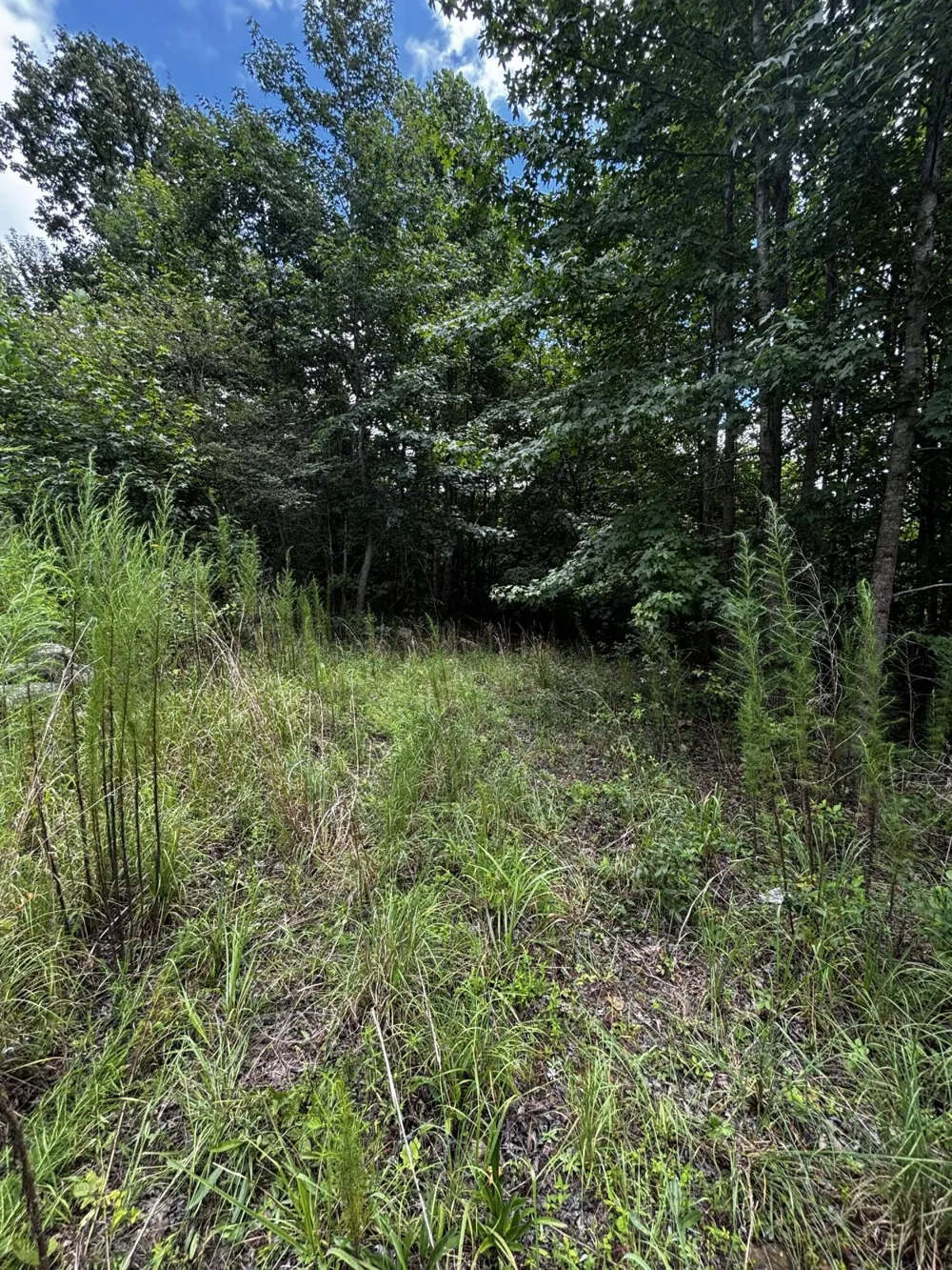 Orme Mountain Road South Pittsburg, TN 37380