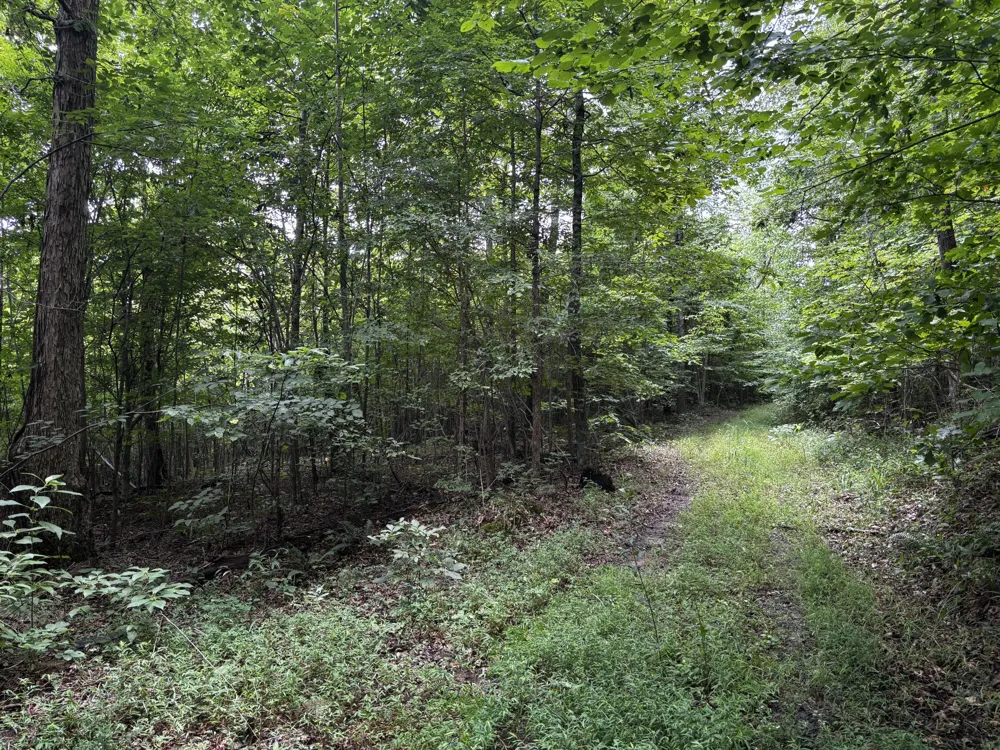 Orme Mountain Road South Pittsburg, TN 37380