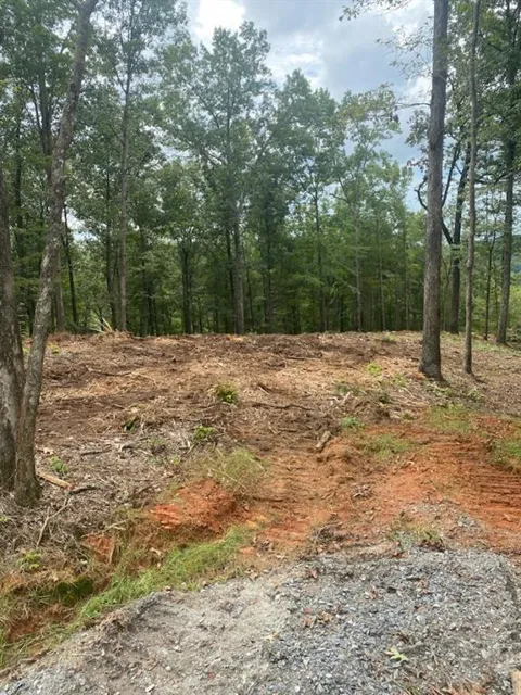 LOT 56 Ridge Line Trail