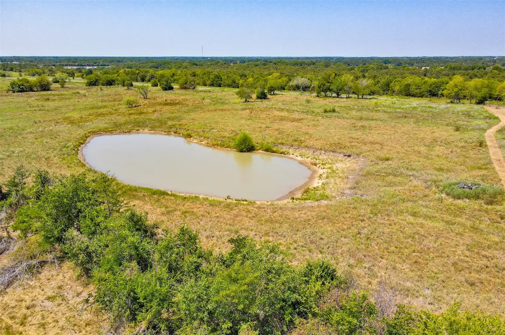 1395 Channing Lane Wills Point, TX 75169