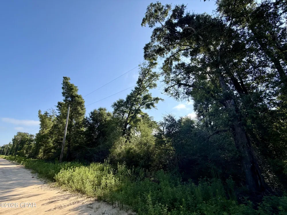 2022 Sorrento Avenue Alford, FL 32420