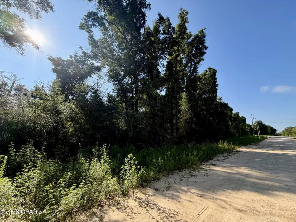 2022 Sorrento Avenue Alford, FL 32420