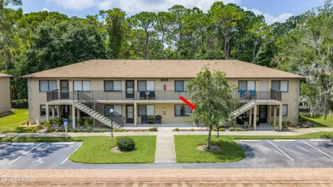 1601 Big Tree Road ##803