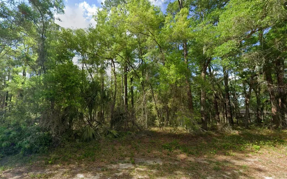 10912 AIRWAY LOOP Citrus Springs, FL 34434